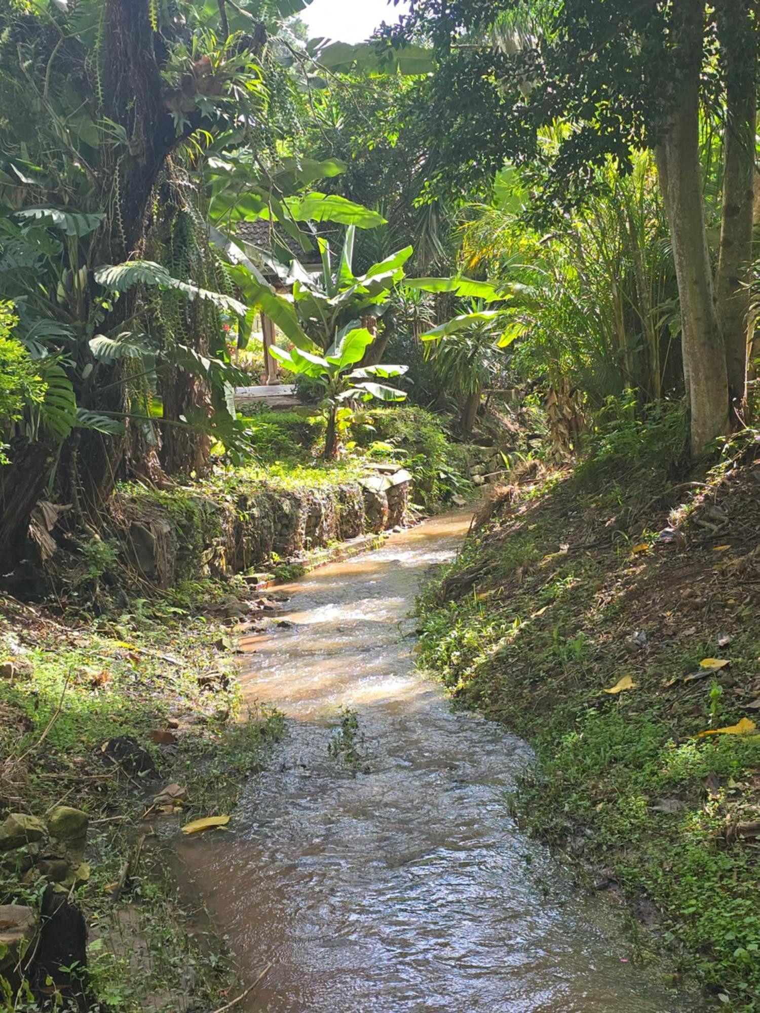 River Heaven Bnb Pinetown Luaran gambar